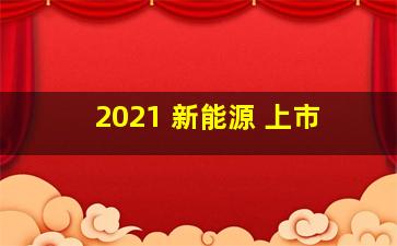 2021 新能源 上市